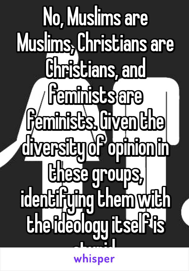 No, Muslims are Muslims, Christians are Christians, and feminists are feminists. Given the diversity of opinion in these groups, identifying them with the ideology itself is stupid.