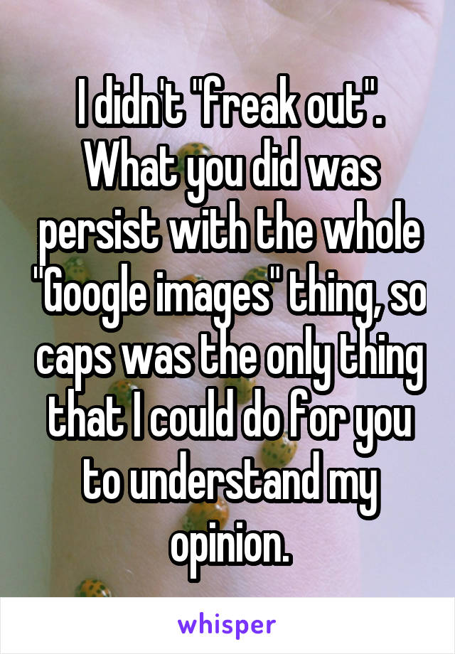 I didn't "freak out".
What you did was persist with the whole "Google images" thing, so caps was the only thing that I could do for you to understand my opinion.