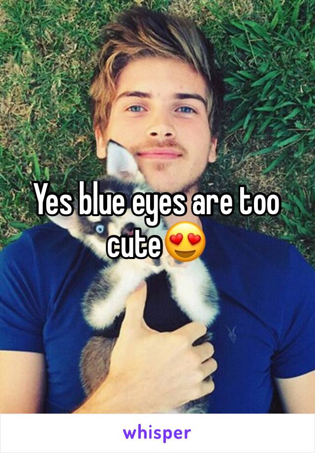 Yes blue eyes are too cute😍