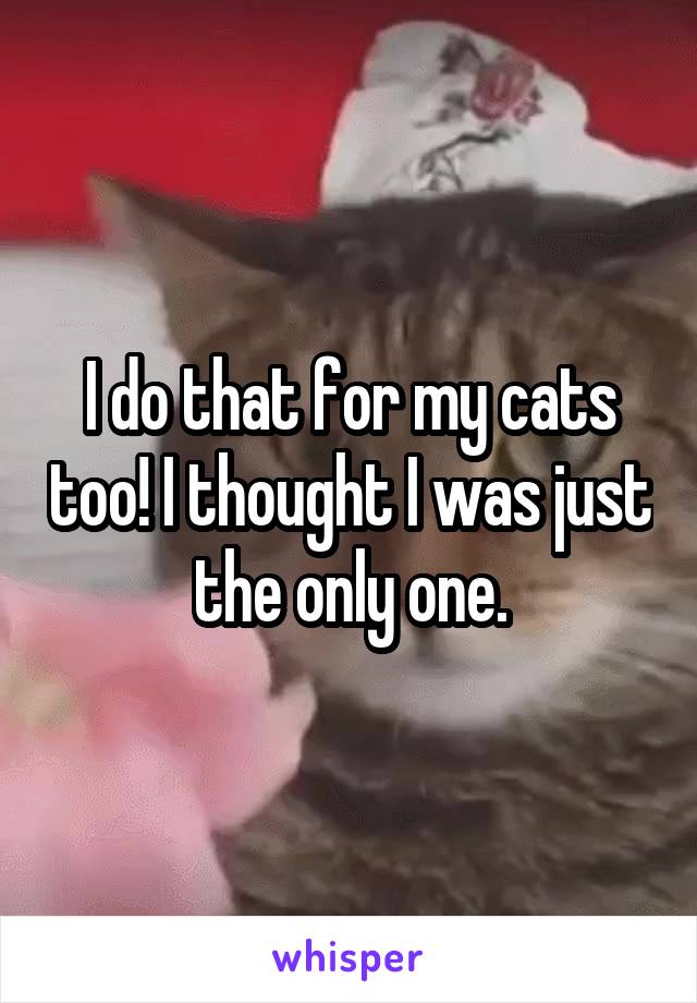 I do that for my cats too! I thought I was just the only one.