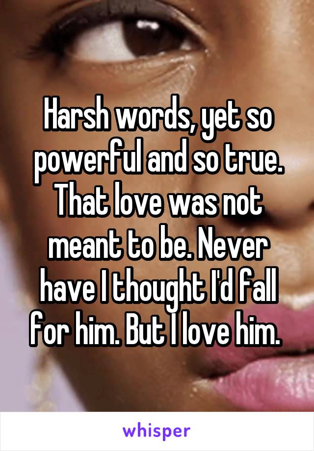 Harsh words, yet so powerful and so true. That love was not meant to be. Never have I thought I'd fall for him. But I love him. 