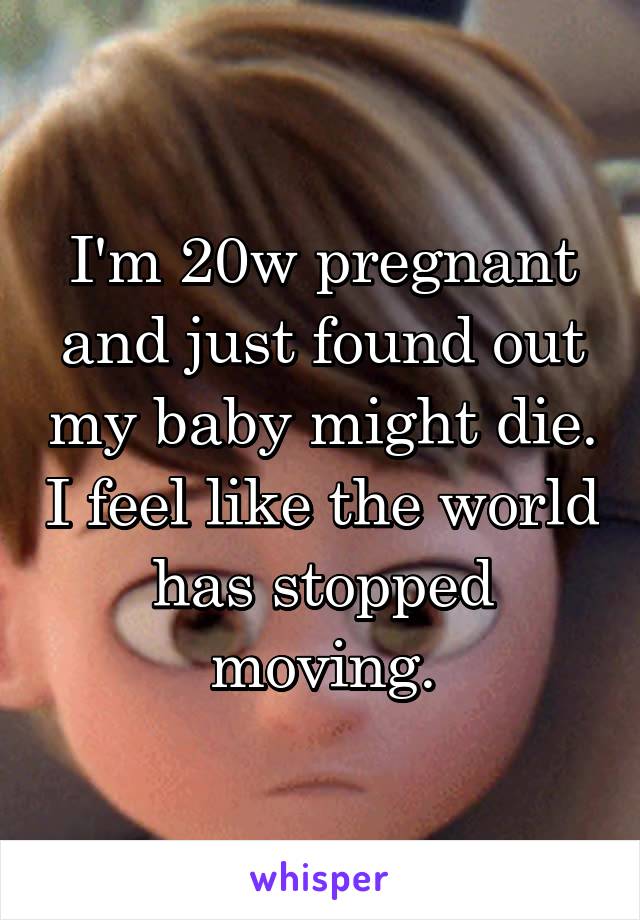 I'm 20w pregnant and just found out my baby might die. I feel like the world has stopped moving.
