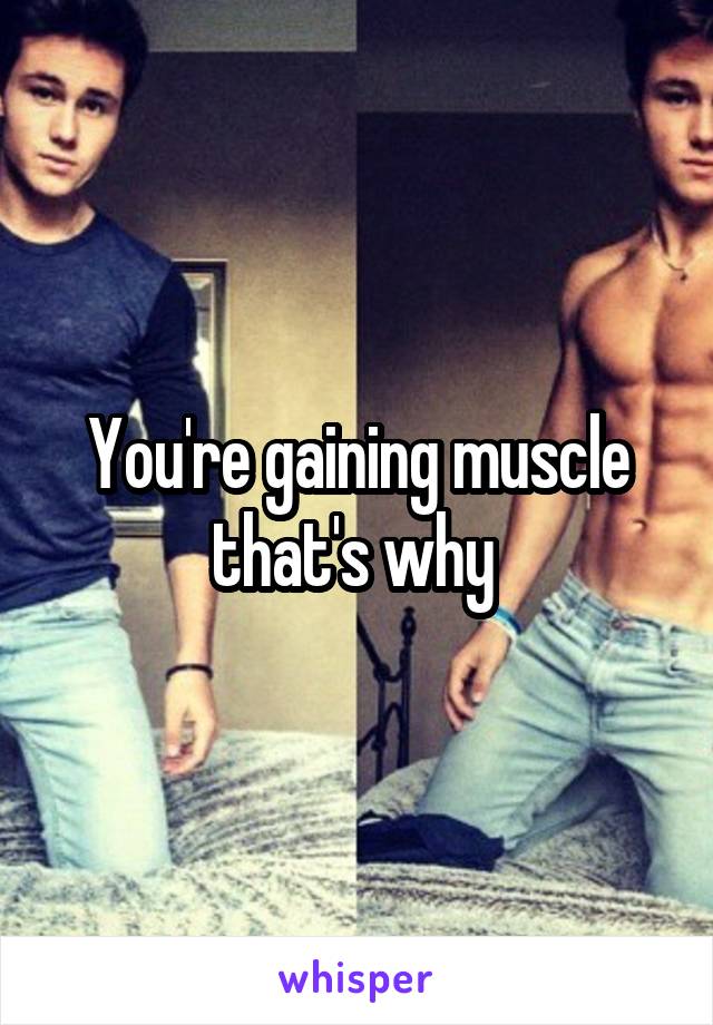 You're gaining muscle that's why 