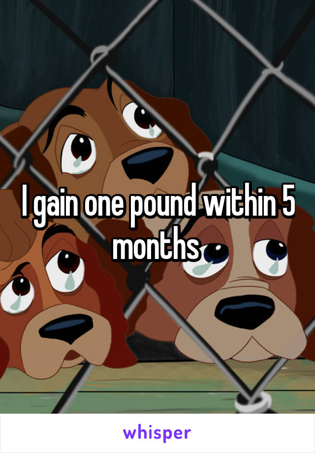 I gain one pound within 5 months 