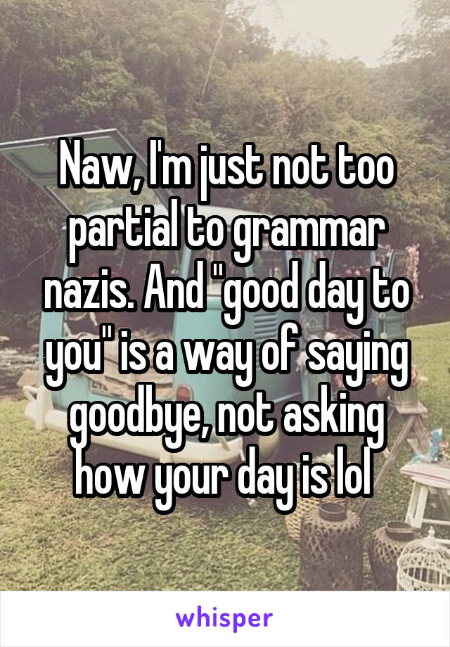 Naw, I'm just not too partial to grammar nazis. And "good day to you" is a way of saying goodbye, not asking how your day is lol 