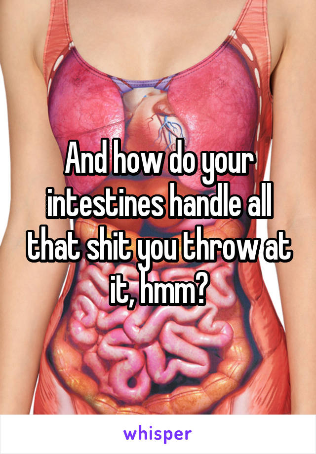 And how do your intestines handle all that shit you throw at it, hmm?