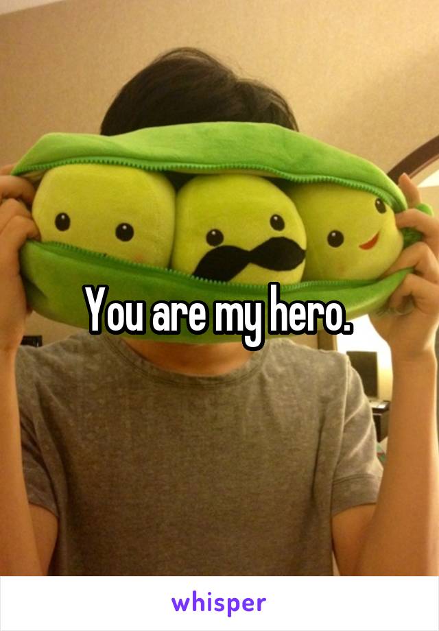 You are my hero. 