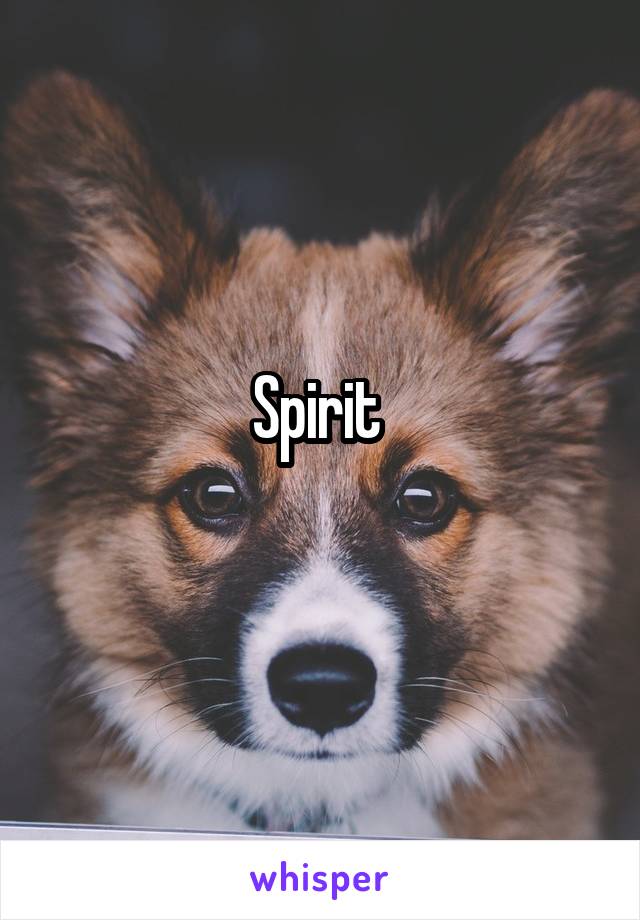 Spirit 
