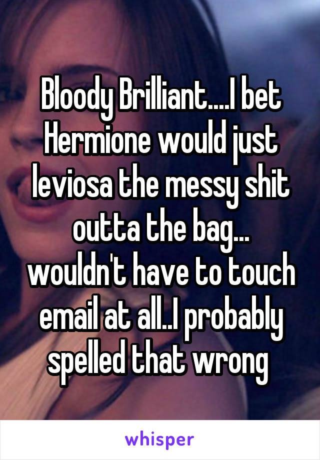 Bloody Brilliant....I bet Hermione would just leviosa the messy shit outta the bag... wouldn't have to touch email at all..I probably spelled that wrong 