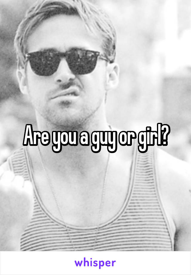 Are you a guy or girl?