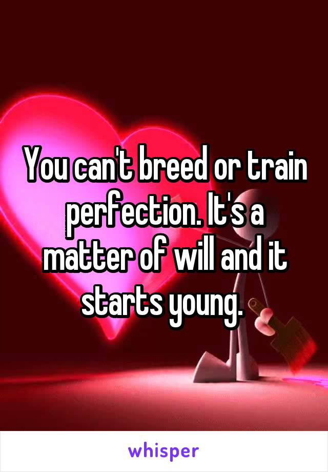 You can't breed or train perfection. It's a matter of will and it starts young. 