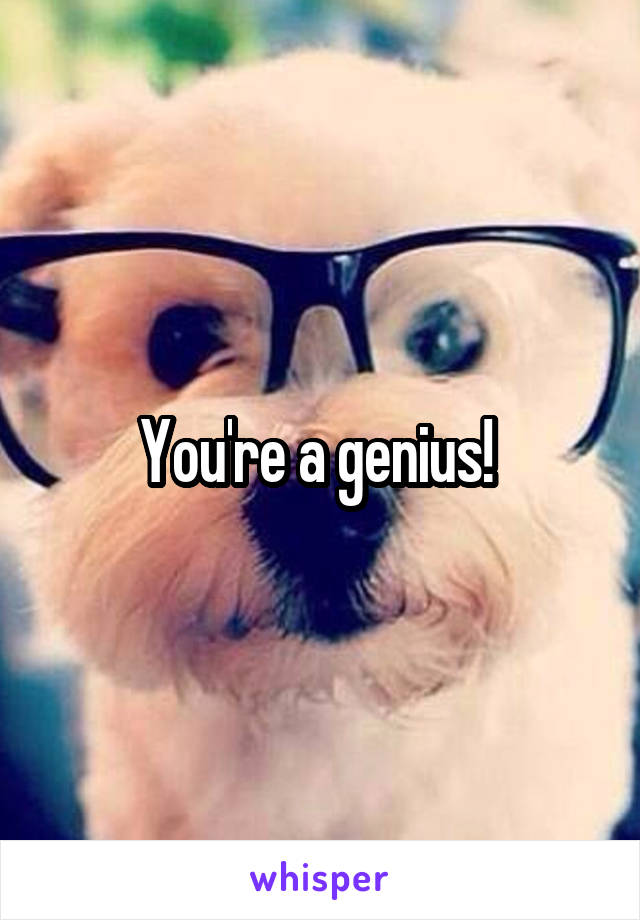 You're a genius! 