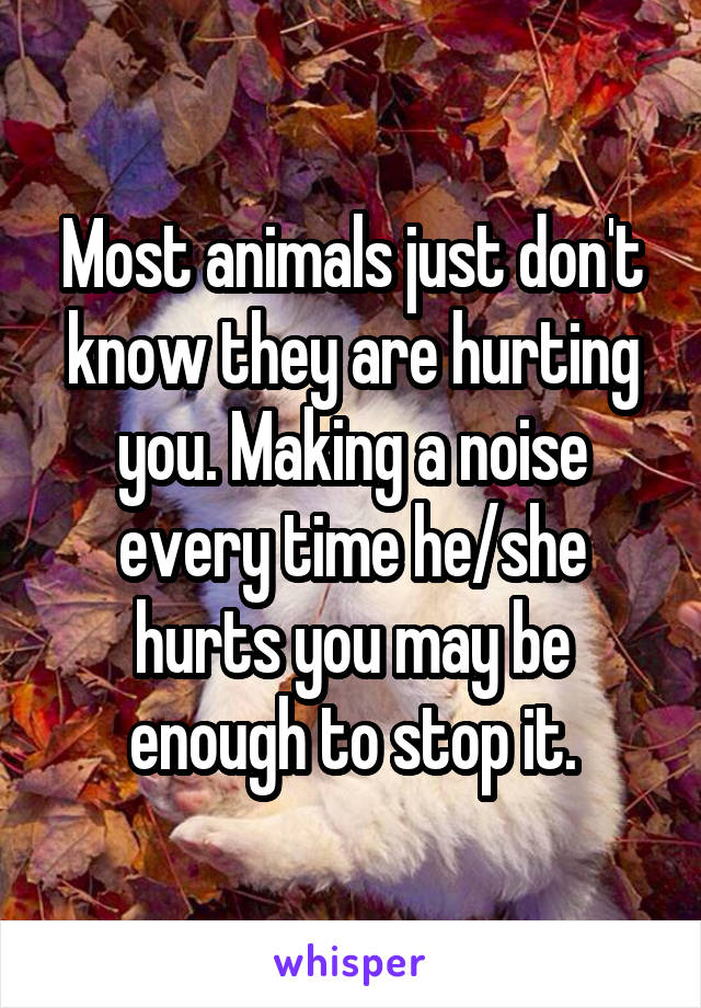 Most animals just don't know they are hurting you. Making a noise every time he/she hurts you may be enough to stop it.