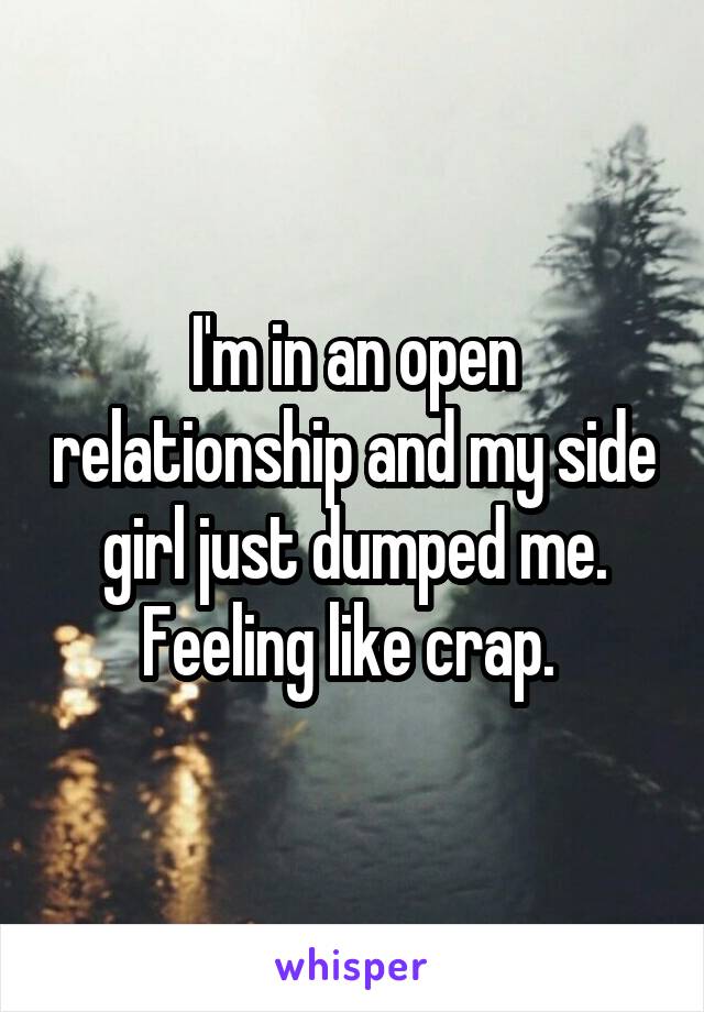 I'm in an open relationship and my side girl just dumped me. Feeling like crap. 