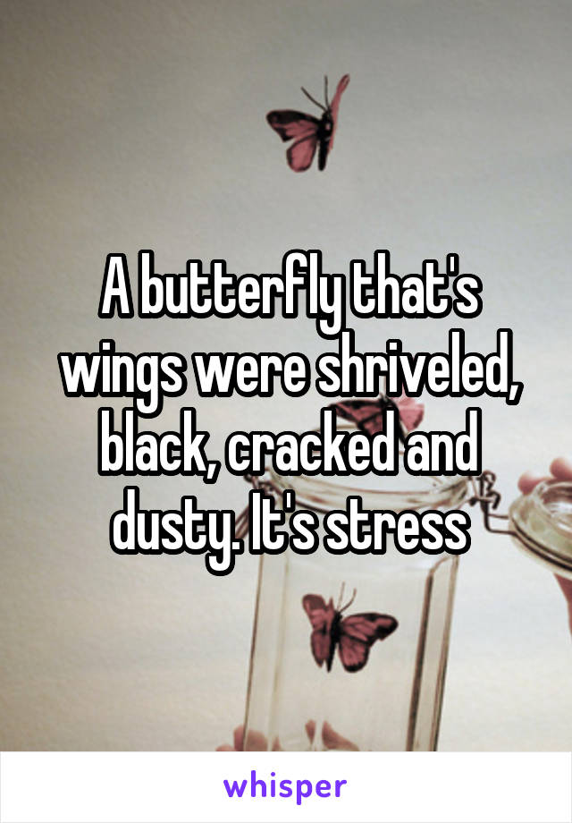 A butterfly that's wings were shriveled, black, cracked and dusty. It's stress