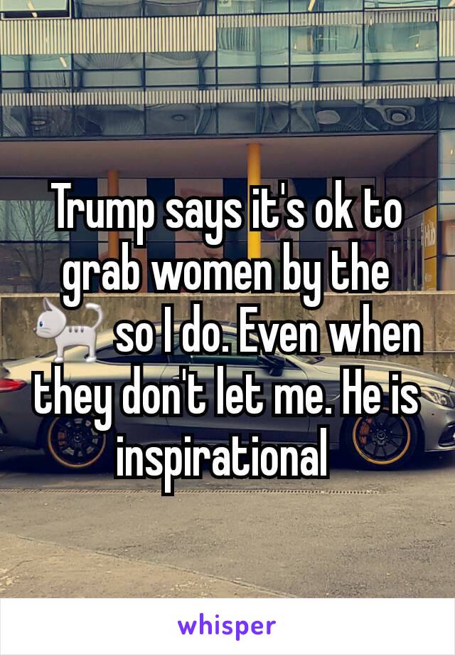 Trump says it's ok to grab women by the 🐈 so I do. Even when they don't let me. He is inspirational 