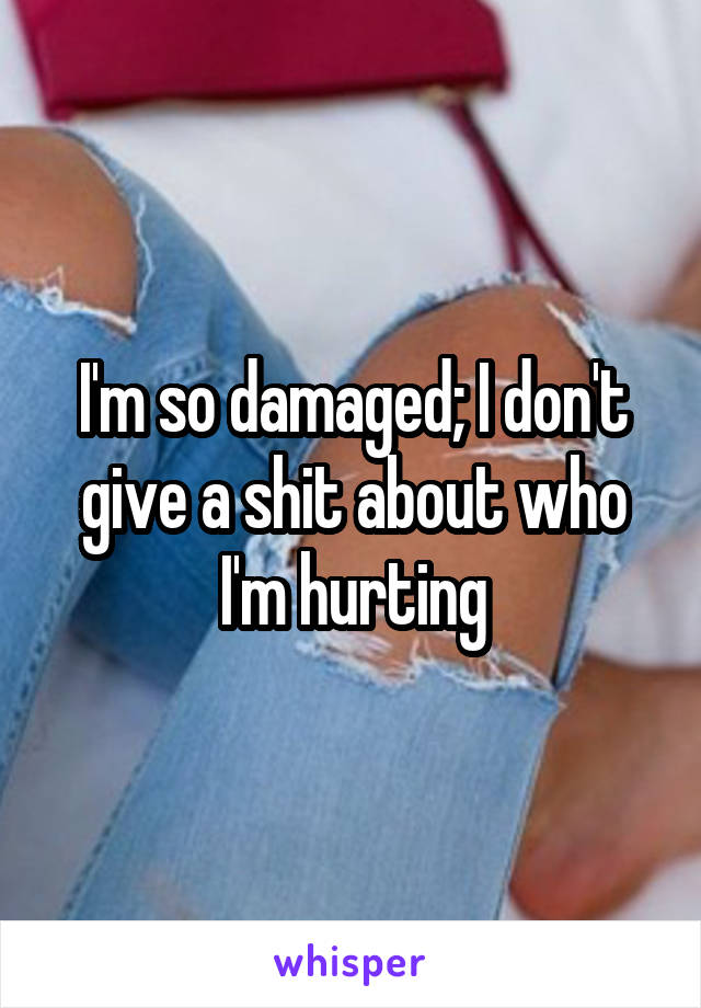 I'm so damaged; I don't give a shit about who I'm hurting