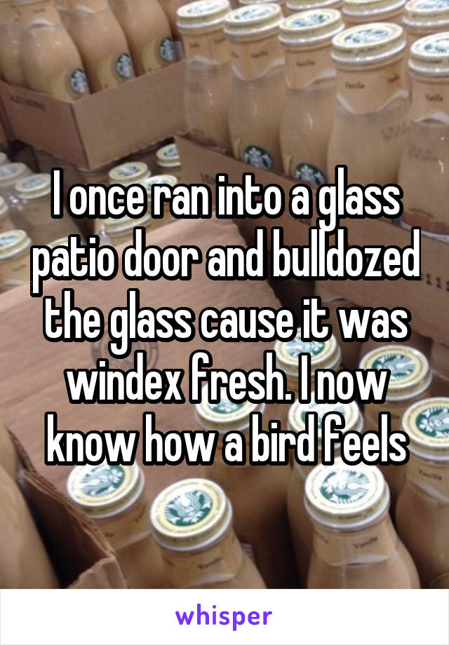 I once ran into a glass patio door and bulldozed the glass cause it was windex fresh. I now know how a bird feels