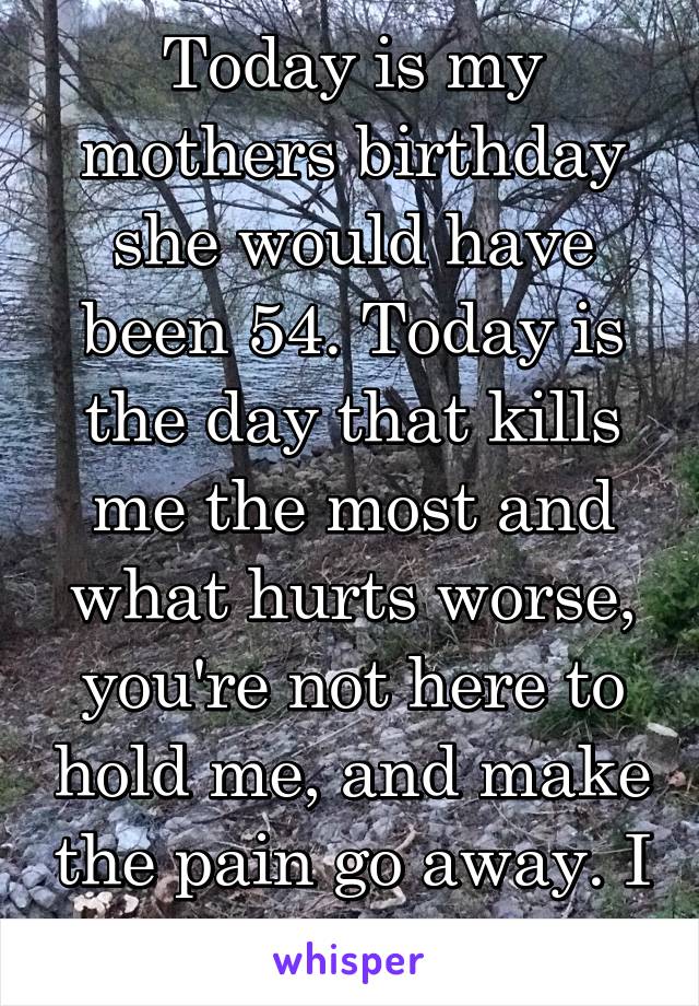 Today is my mothers birthday she would have been 54. Today is the day that kills me the most and what hurts worse, you're not here to hold me, and make the pain go away. I LOVE YOU TDY
