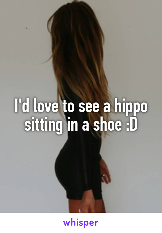 I'd love to see a hippo sitting in a shoe :D
