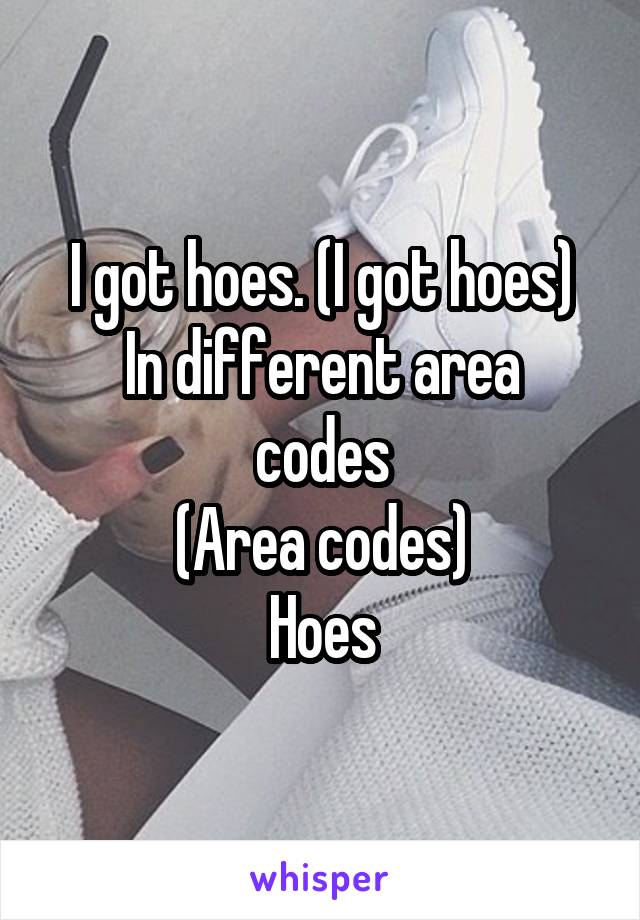 I got hoes. (I got hoes)
In different area codes
(Area codes)
Hoes