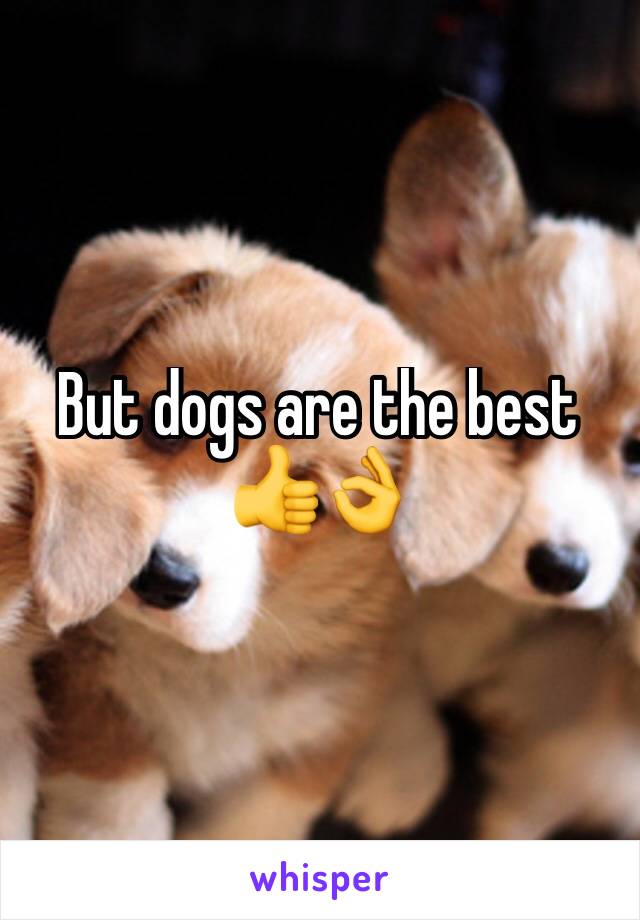 But dogs are the best 👍👌