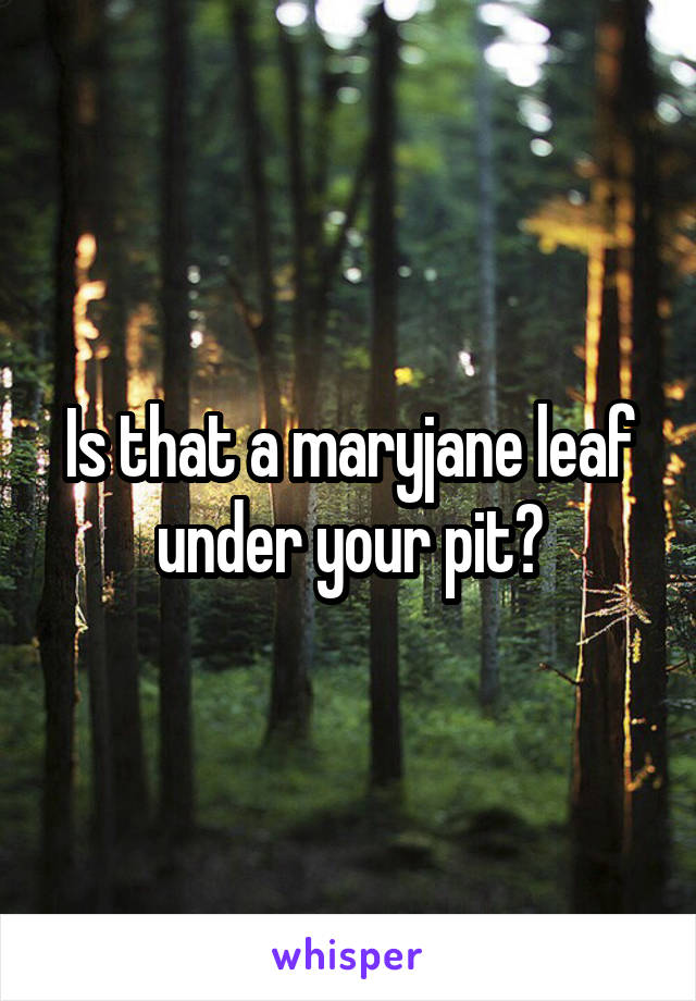 Is that a maryjane leaf under your pit?