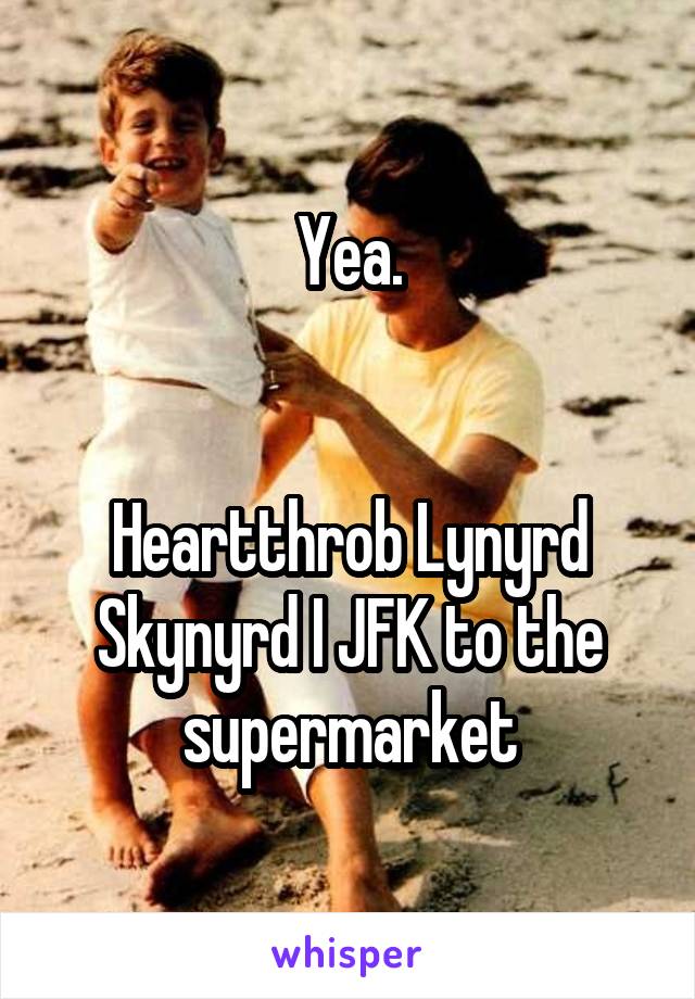 Yea.


Heartthrob Lynyrd Skynyrd I JFK to the supermarket