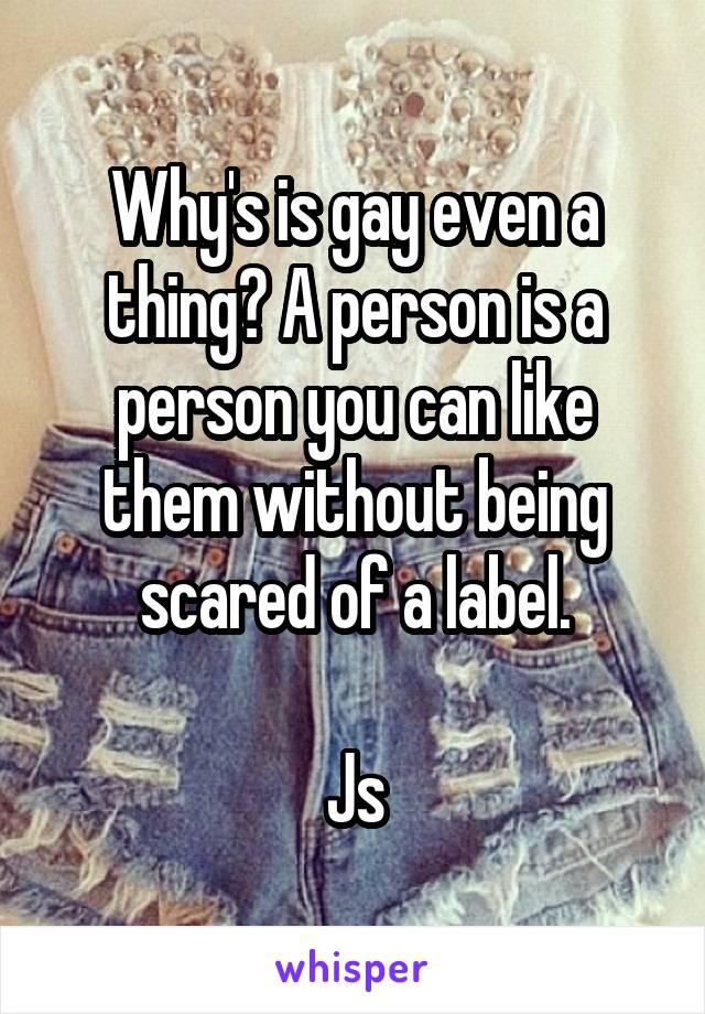 Why's is gay even a thing? A person is a person you can like them without being scared of a label.

Js