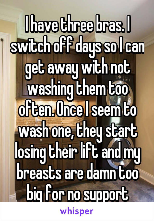 I have three bras. I switch off days so I can get away with not washing them too often. Once I seem to wash one, they start losing their lift and my breasts are damn too big for no support