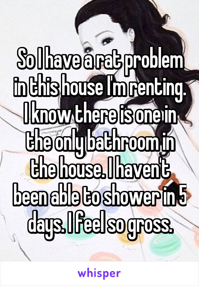 So I have a rat problem in this house I'm renting. I know there is one in the only bathroom in the house. I haven't been able to shower in 5 days. I feel so gross.