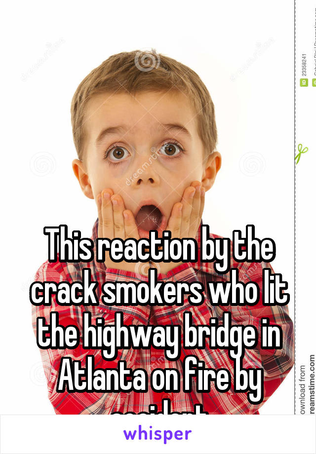 




This reaction by the crack smokers who lit the highway bridge in Atlanta on fire by accident