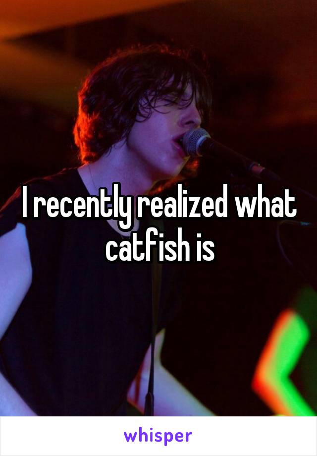 I recently realized what catfish is