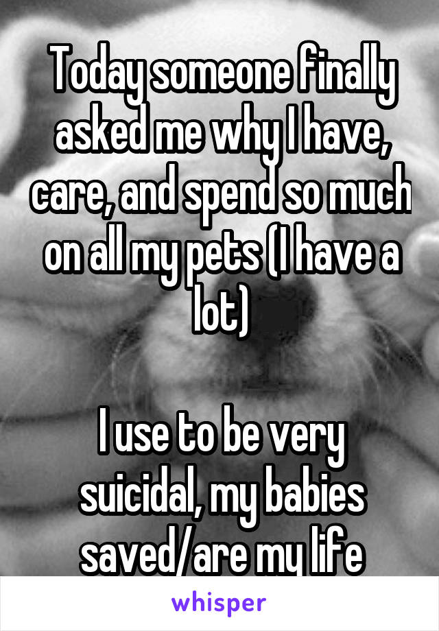 Today someone finally asked me why I have, care, and spend so much on all my pets (I have a lot)

I use to be very suicidal, my babies saved/are my life