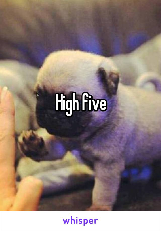 High five
