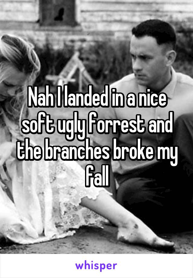 Nah I landed in a nice soft ugly forrest and the branches broke my fall