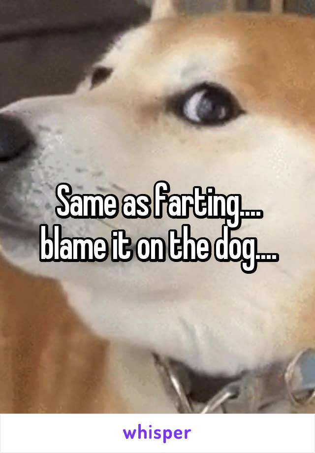 Same as farting.... blame it on the dog....