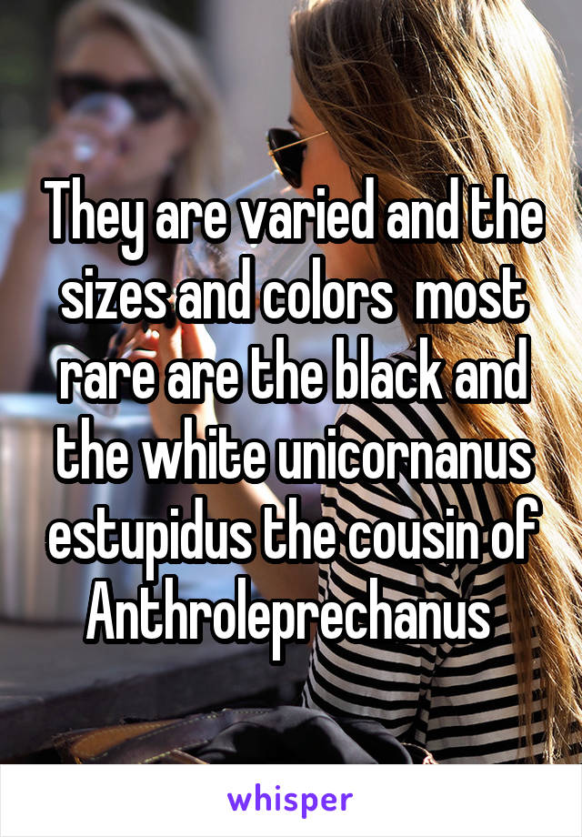 They are varied and the sizes and colors  most rare are the black and the white unicornanus estupidus the cousin of Anthroleprechanus 