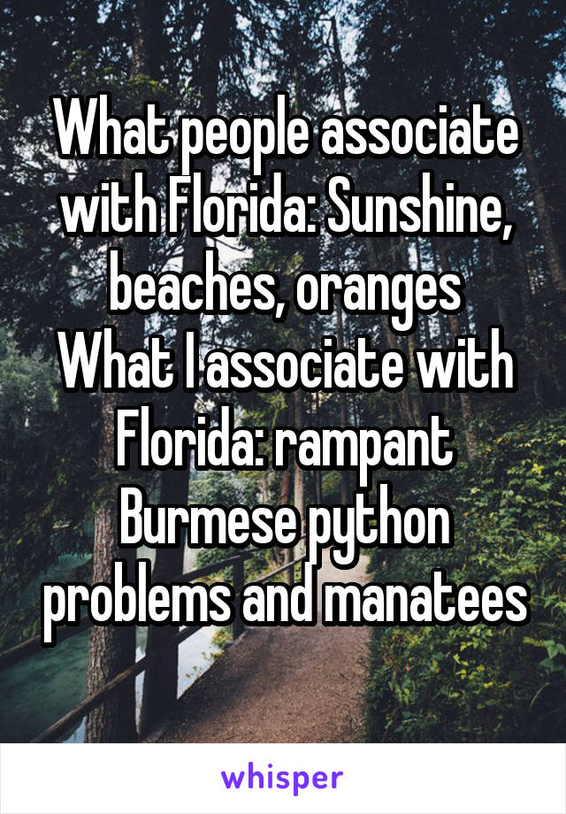 What people associate with Florida: Sunshine, beaches, oranges
What I associate with Florida: rampant Burmese python problems and manatees 