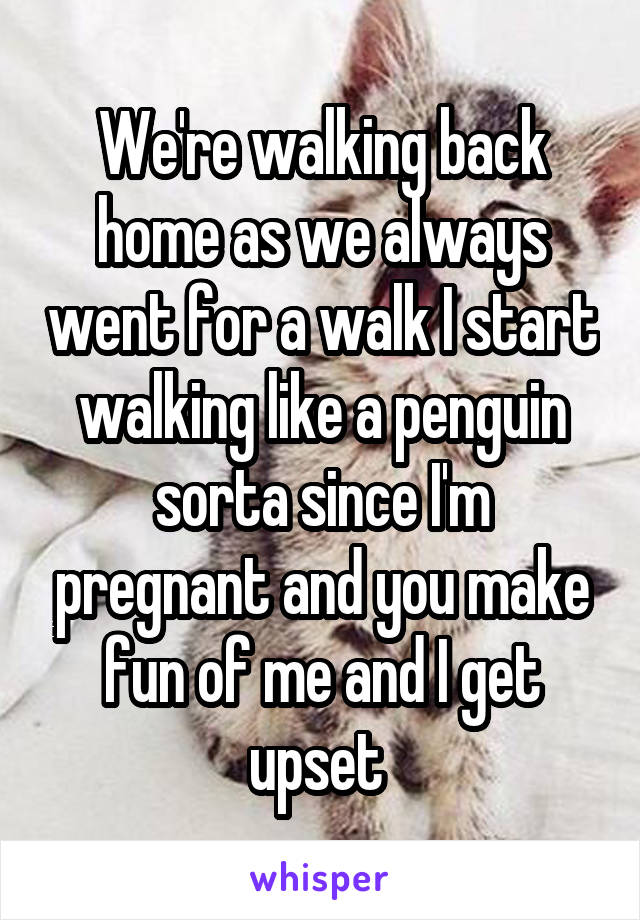 We're walking back home as we always went for a walk I start walking like a penguin sorta since I'm pregnant and you make fun of me and I get upset 