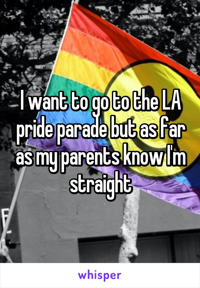 I want to go to the LA pride parade but as far as my parents know I'm straight