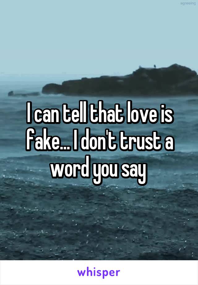 I can tell that love is fake... I don't trust a word you say 