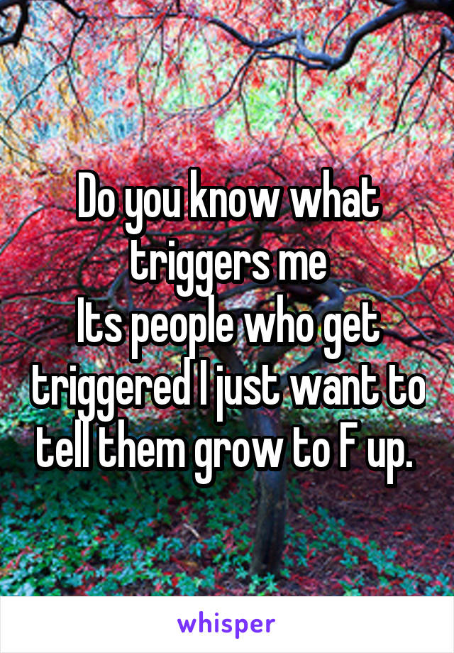 Do you know what triggers me
Its people who get triggered I just want to tell them grow to F up. 