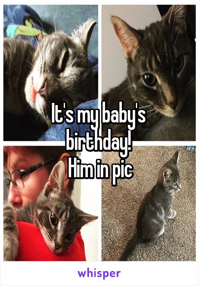 It's my baby's 
birthday! 
Him in pic