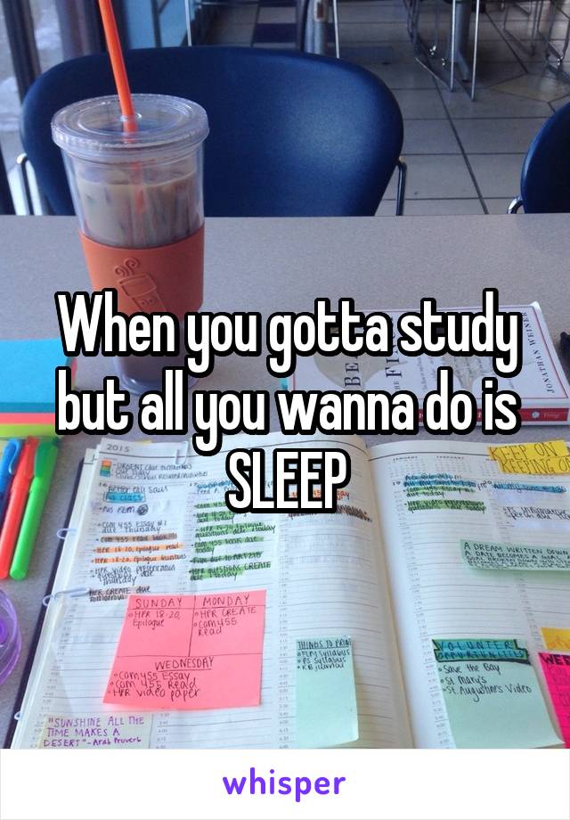When you gotta study but all you wanna do is SLEEP