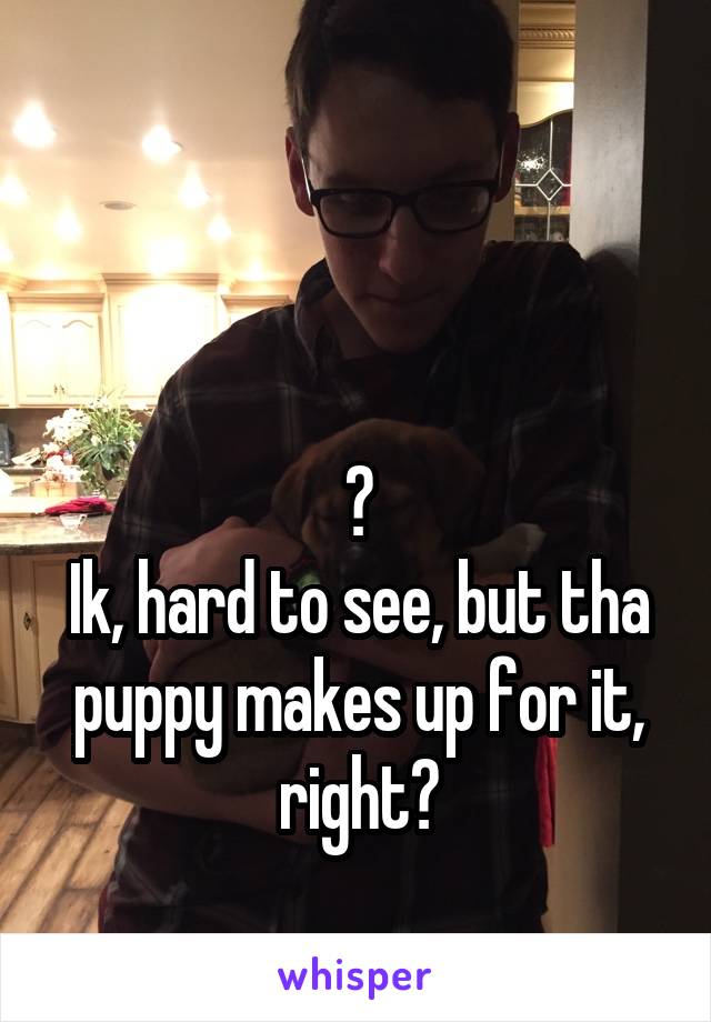 


?
Ik, hard to see, but tha puppy makes up for it, right?