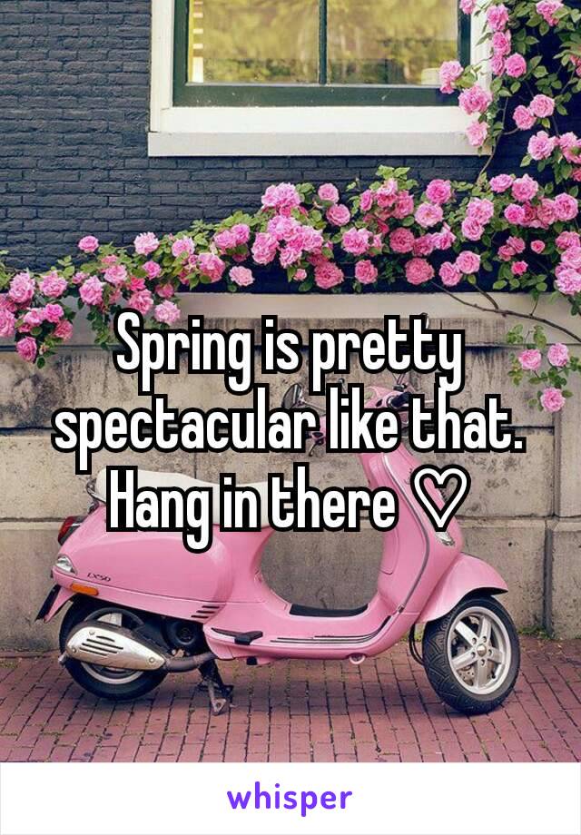 Spring is pretty spectacular like that. Hang in there ♡