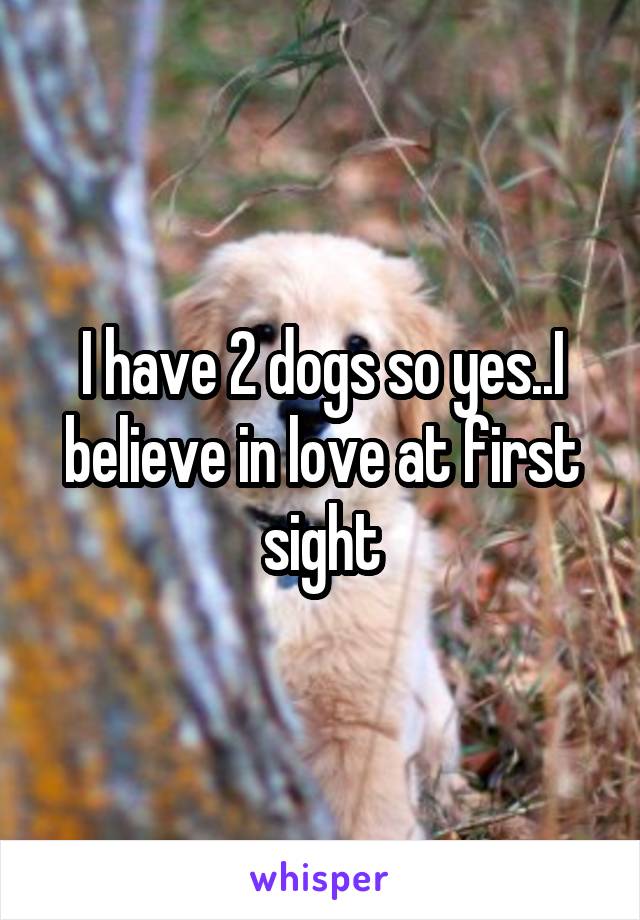 I have 2 dogs so yes..I believe in love at first sight
