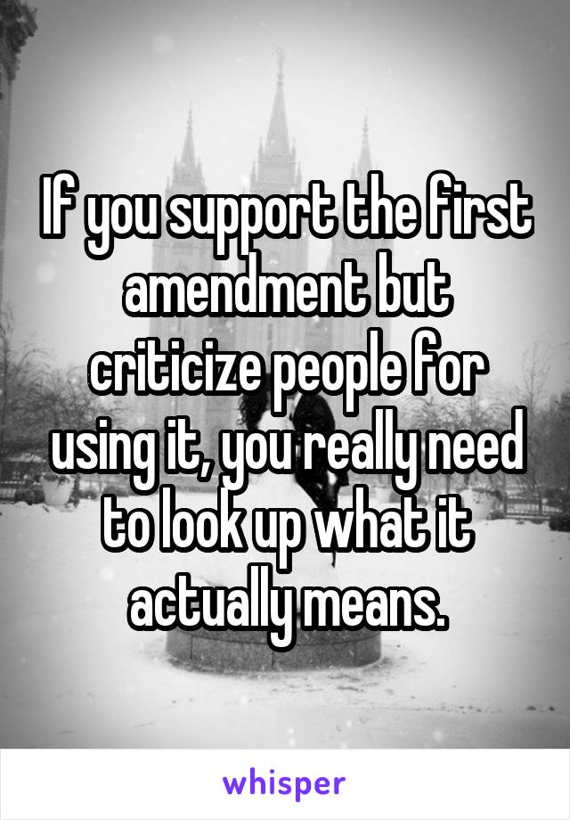 If you support the first amendment but criticize people for using it, you really need to look up what it actually means.