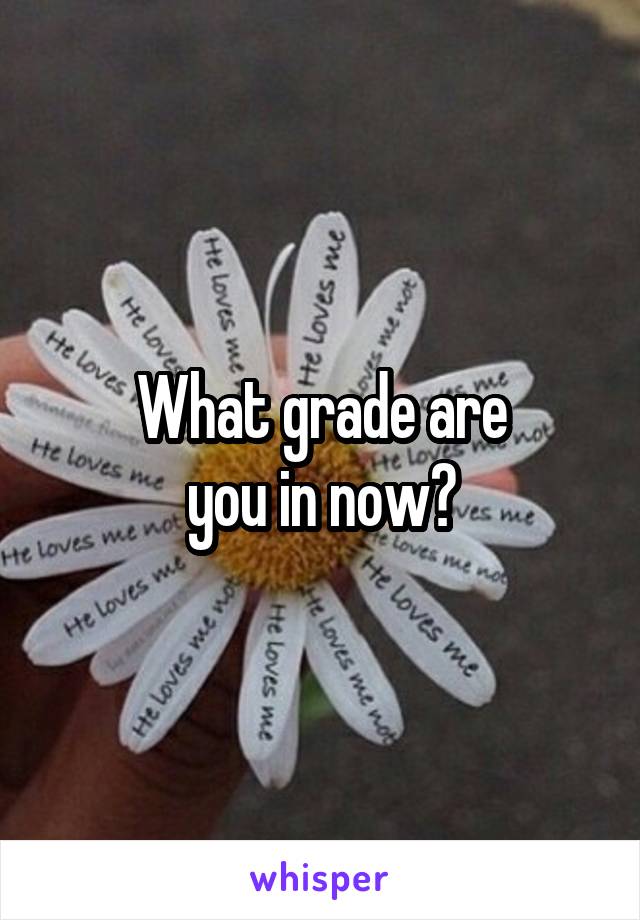 What grade are
you in now?